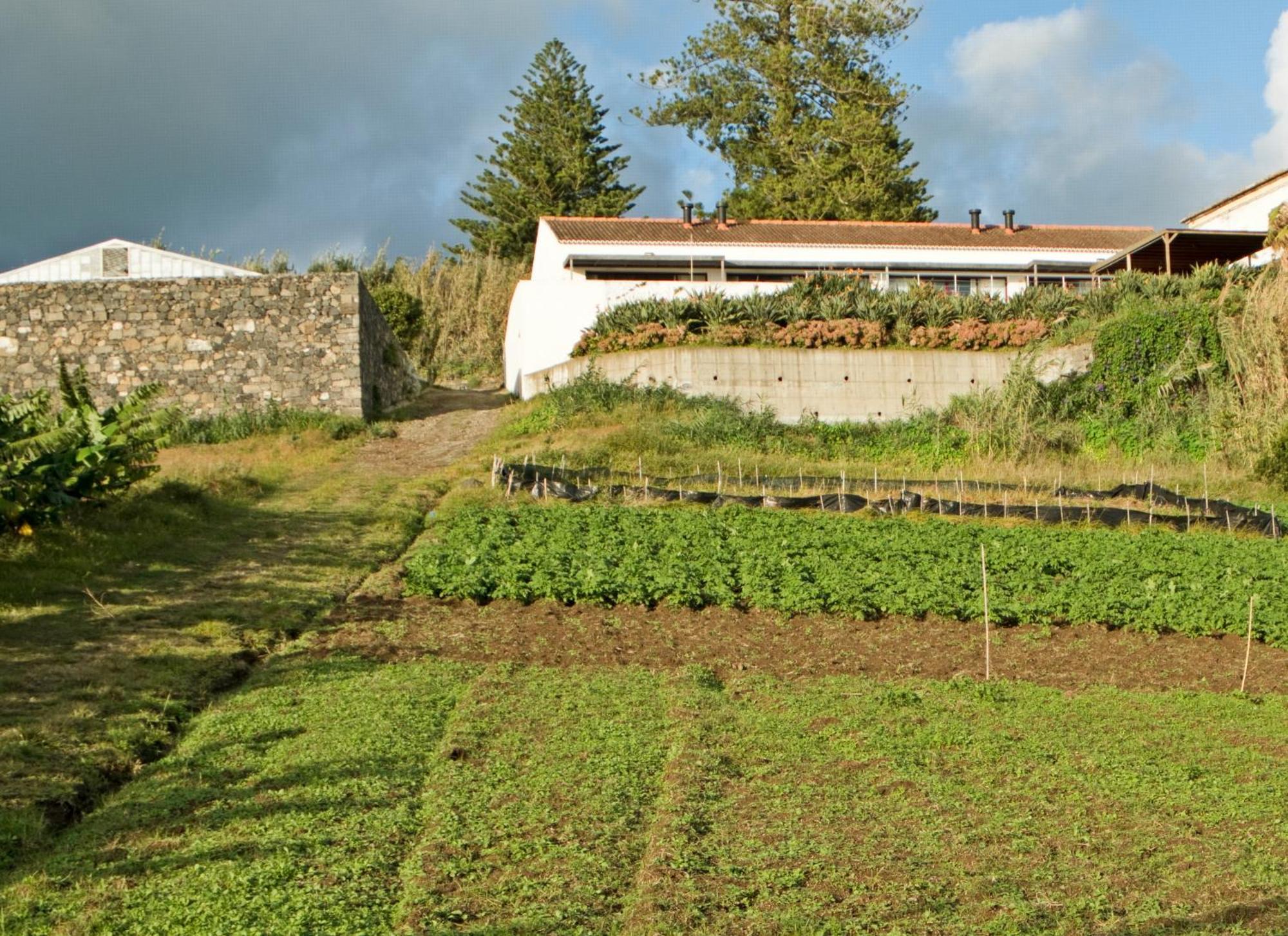 Qva - Quinta Velha Das Amoreiras Vila Franca do Campo Esterno foto